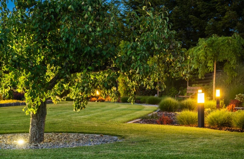 Landscape Lighting Ideas for Your Yard by Outdoor Lighting Contractors 